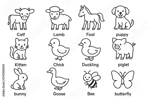 Cute farm animal outline illustrations for kids coloring