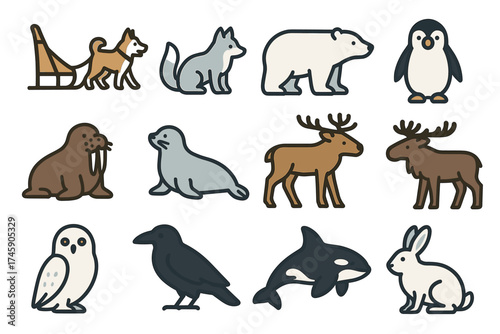 Cartoon arctic and antarctic animals collection: penguin, orca, polar bear, walrus, fox