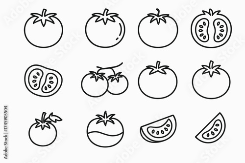 Line art collection of various tomato shapes and slices
