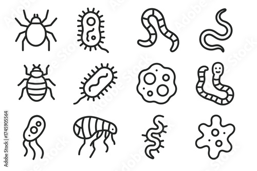 Vector line art of insects and microbes including bacteria, viruses, and worms