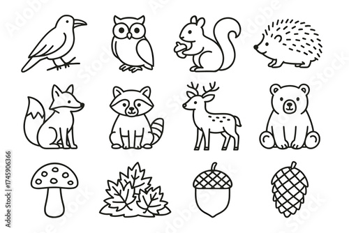 Set of cute woodland animal and nature icons in outline style