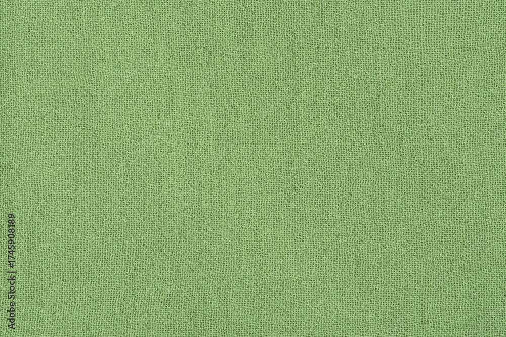Fototapeta premium Green fabric texture macro photo as background.