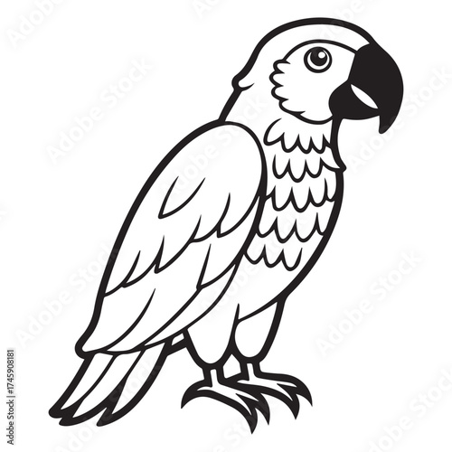 macaw parrot  vector icon outline