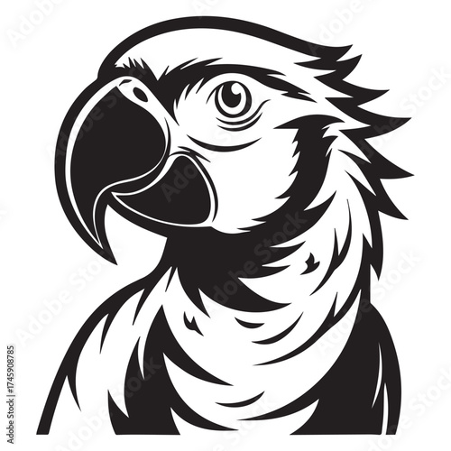 macaw parrot  vector icon outline
