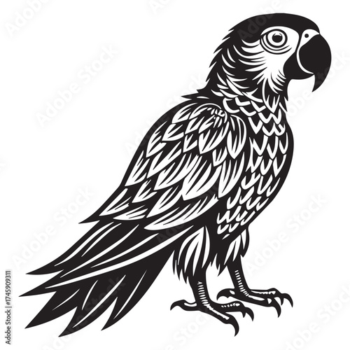 macaw parrot  vector icon outline