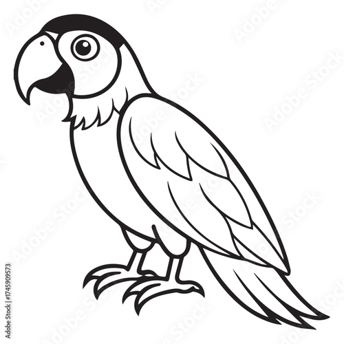 macaw parrot  vector icon outline