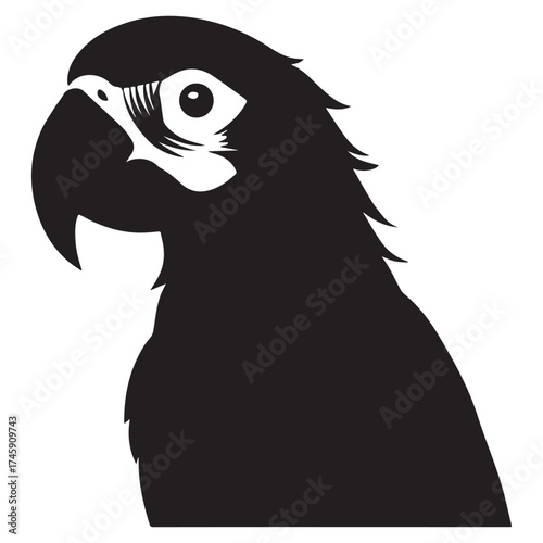 macaw parrot  vector icon outline