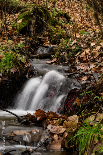 a stream in an autumn forest with fallen leaves on the ground