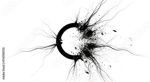 Adobe Illustrator Artwork