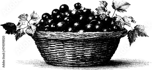 Rustic fruit basket with berries and vine leaves on tablecloth for vintage decor