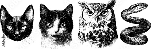 Vintage halftone illustrations of bat, owl, cat, and snake - stipple art for design projects