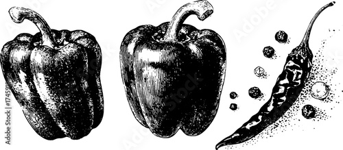 Vintage bell pepper and chili pepper dotwork illustrations for print design