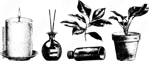 Aromatherapy elements: candle, aromatic diffuser, houseplant, and towel for relaxation and decor