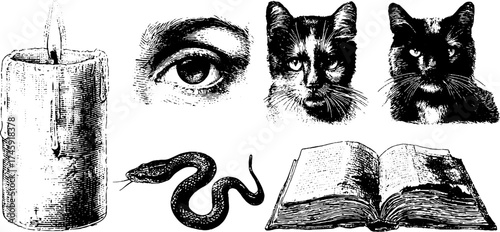 Mysterious elements: candle, snake, cat, eye, book, moon for design projects
