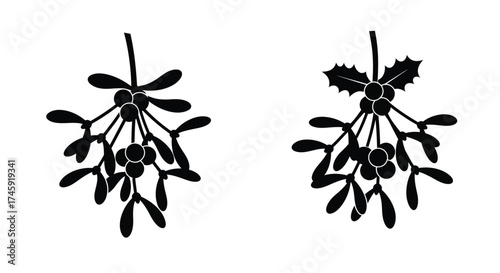Two sprigs of mistletoe illustrated in a simple black and white style