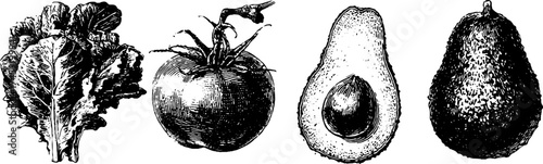 Fresh ingredients collection: lettuce, tomato, avocado, and cucumber for healthy cooking and design