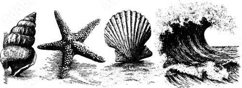 Nautical elements: seashells, starfish, and ocean waves in vintage dotwork style for art and design