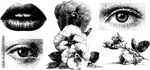 Vintage detailed set of isolated lips, hands, flowers, and eyes for artistic design