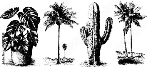 Tropical plants collection: monstera, ficus, cactus, and palm tree illustration