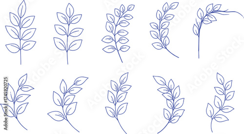 Elegant vector illustration set featuring delicate hand-drawn botanical leaf branches and sprigs, perfect for natural design elements, organic decor, and serene graphic projects