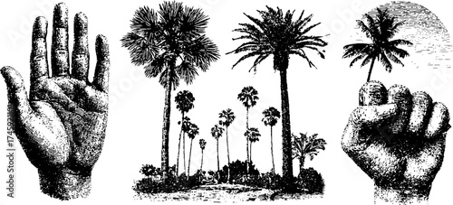 Hand gestures and palm trees in vintage dotwork style for design projects