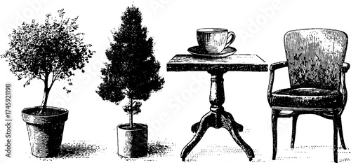 Vintage plant, table, chair, and cup in sunlight - detailed engraving for home decor design