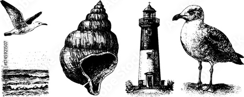 Set of coastal elements: seagull, shell, lighthouse, and sand scene for nautical design