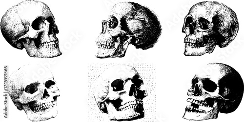 Collection of six detailed vintage skulls with halftone effect for design and art projects