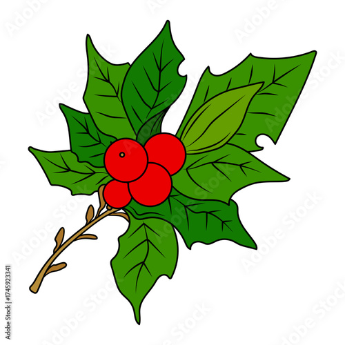 Festive holly sprig with bright red berries and vibrant green leaves, bringing a touch of holiday cheer to your designs, invitations, and seasonal projects