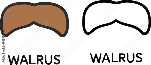 Walrus mustache cartoon illustration with coloring page version.