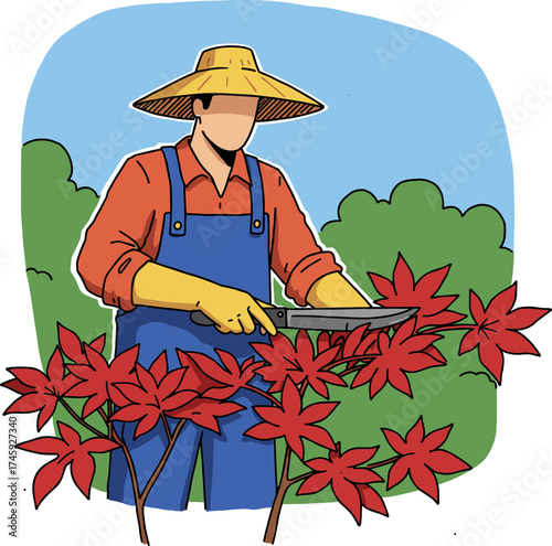 Gardener wearing straw hat and gloves pruning red leaves in garden  
