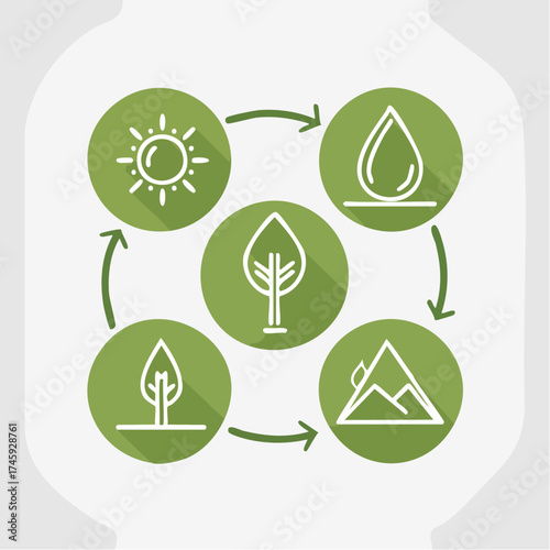 Infographic showing the water cycle process with sun, rain, tree and mountain icons, ideal for educational content about nature and climate awareness campaigns