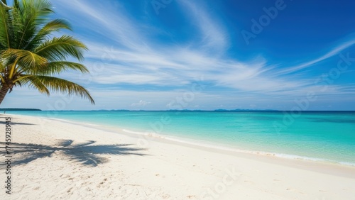 Fototapeta Naklejka Na Ścianę i Meble -  Idyllic tropical beach with palm tree and turquoise water.