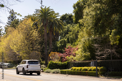Day light shines on a beautiful tree lined street in Atherton, California, USA.