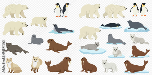 A collection of various Arctic and Antarctic animals including polar bears, penguins, seals, walruses, and arctic foxes, depicted in a flat design style.