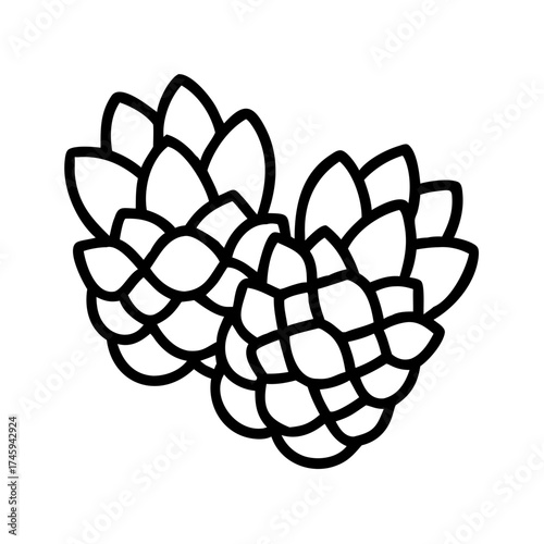Vector art of hop aromatic flower cone of the hop plant ingredient for beer production agriculture, brewery, and food concept