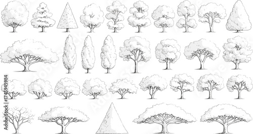 Collection of Hand-Drawn Tree Illustrations for Various Creative Projects Vector Graphics Assets