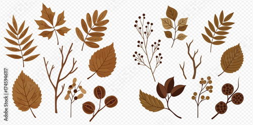 Collection of autumn leaves, bare branches, and berries in earthy brown tones on a transparent background, perfect for seasonal designs.