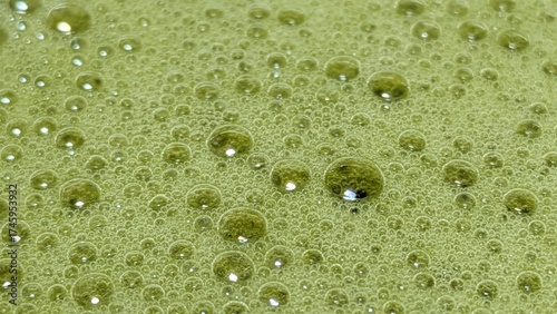 Matcha Foam Macro Series