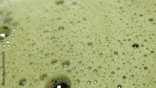 Matcha Foam Macro Series