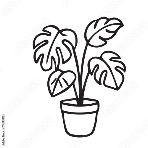 Simple black and white vector depiction of a monstera plant placed inside a pot, highlighted by precise black outline for minimalist charm.