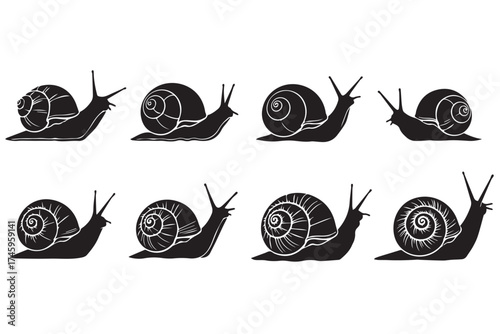 Silhouette illustrations of snails in profile, showcasing their shells and movement, isolated on a clean transparent background