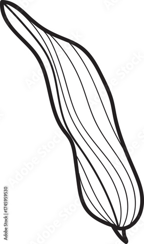 Black outline illustration of an elongated botanical leaf or seed pod. Simple line art drawing for design, nature, or coloring.
