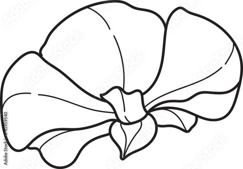Sweet Pea Flower Line Art Illustration