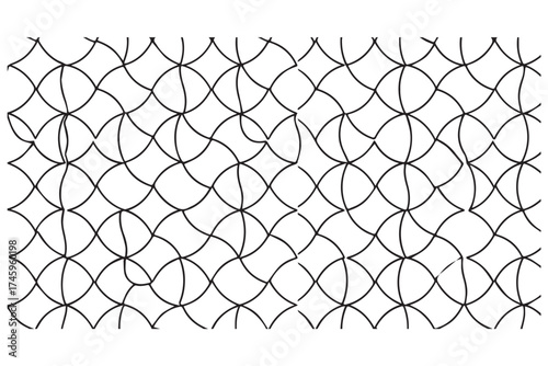 An intricate geometric pattern of interlocking curved lines forming a repeating tessellation on a transparent background, creating a netlike effect