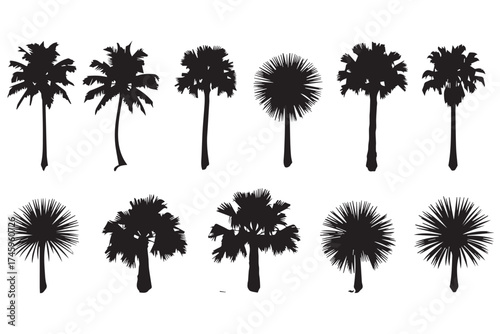 Collection of silhouette palm trees isolated on transparent background