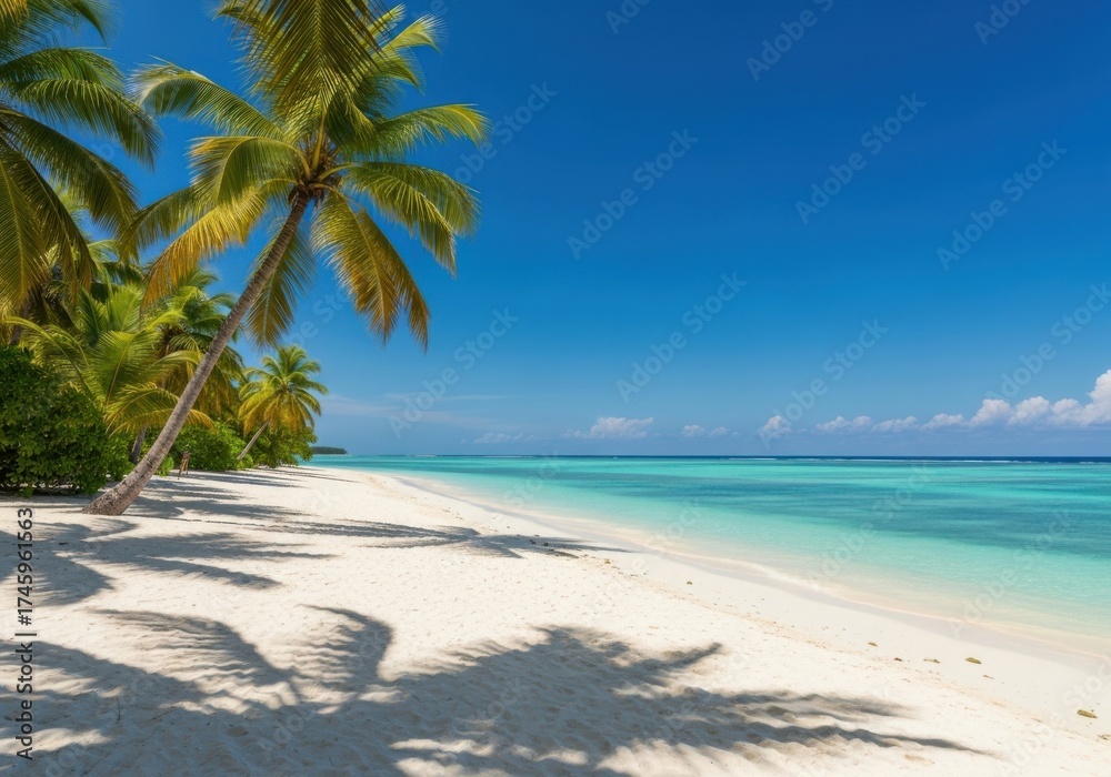 Obraz premium Tropical beach with palm trees and turquoise ocean isolated on white background