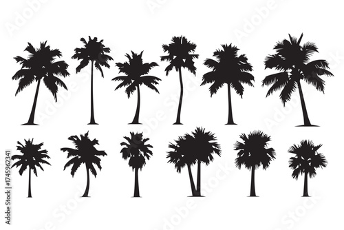 Collection of silhouette palm trees of varying sizes and shapes, isolated on a transparent background