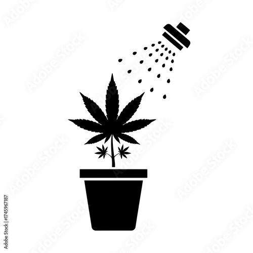 A black silhouette of a cannabis plant in a pot being watered by a shower head, isolated on a