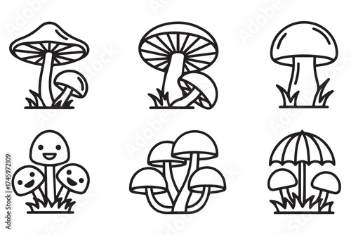 Assortment of mushroom illustrations, featuring different species and styles, isolated on transparent background